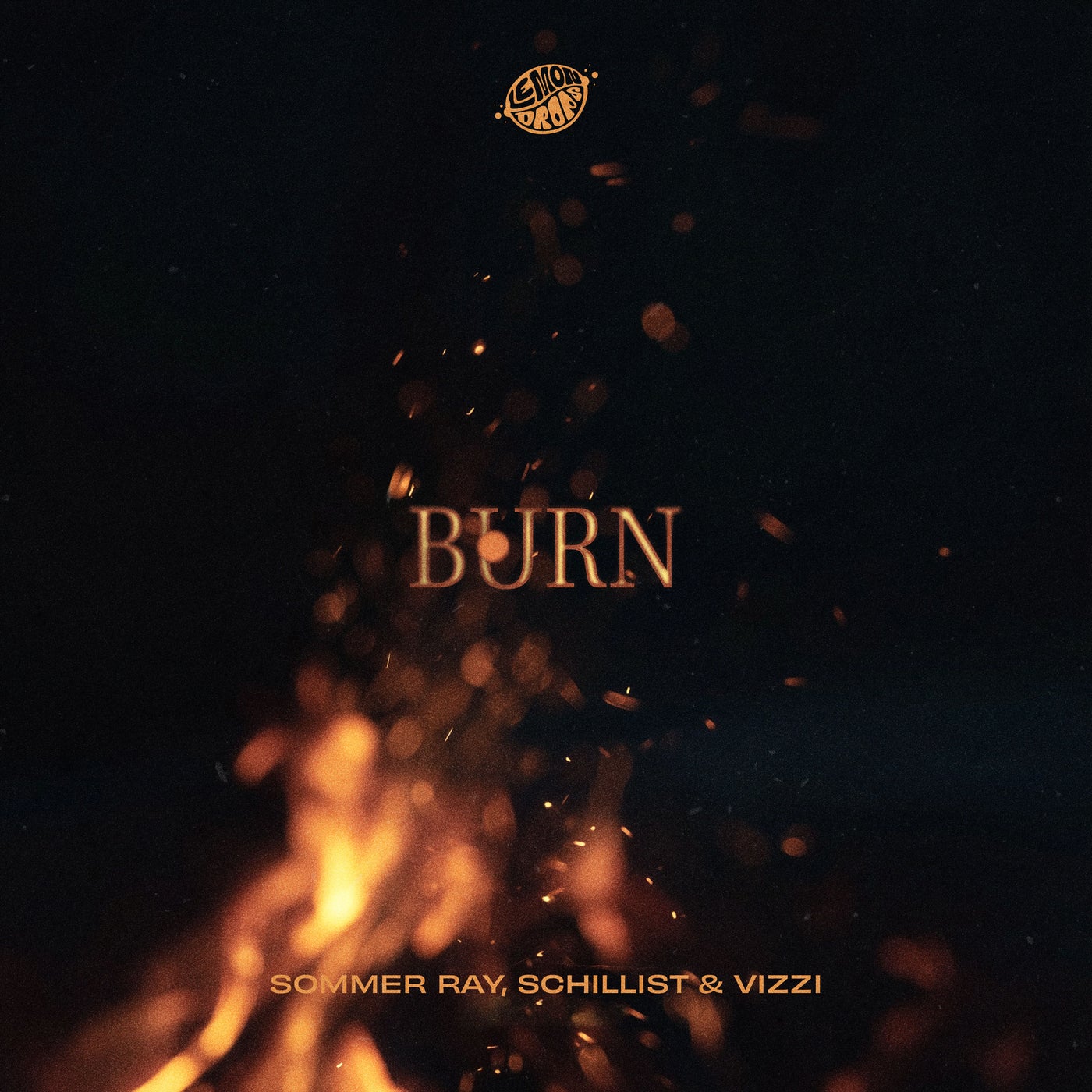 Burn (Extended Mix)
