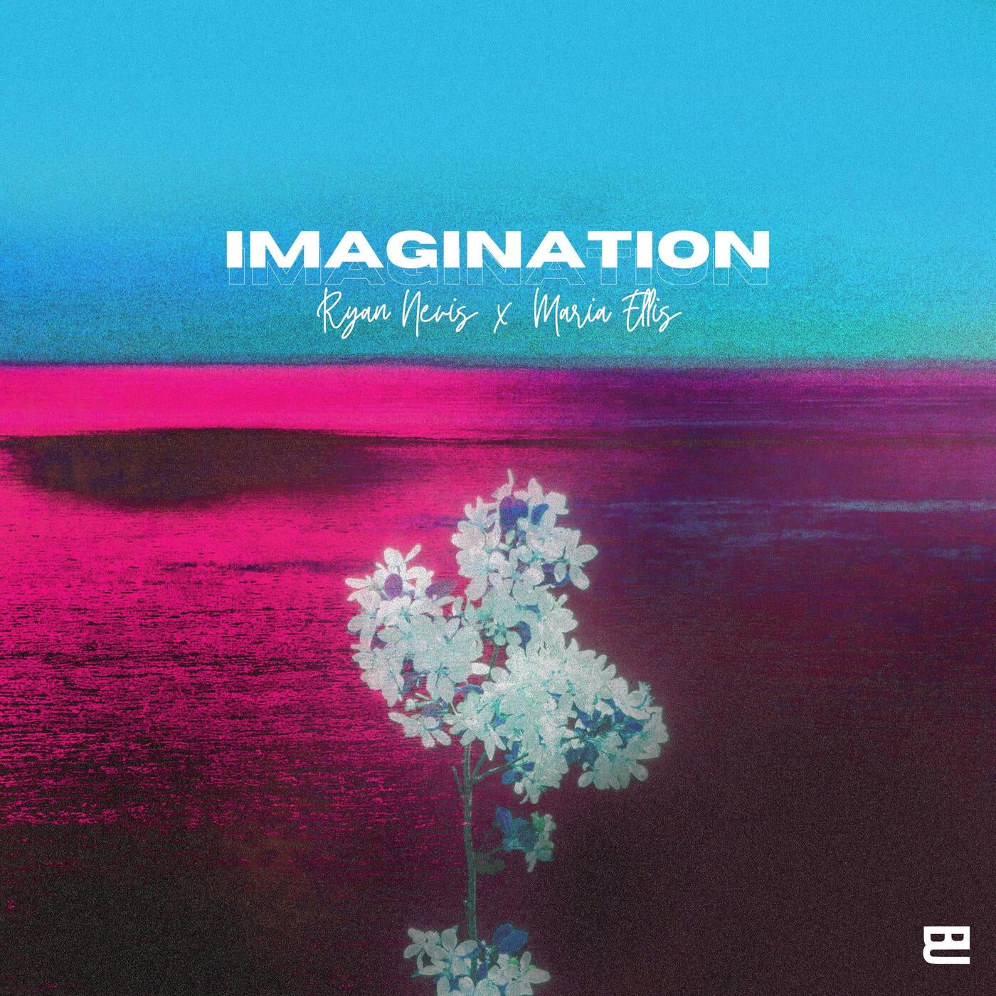 Imagination