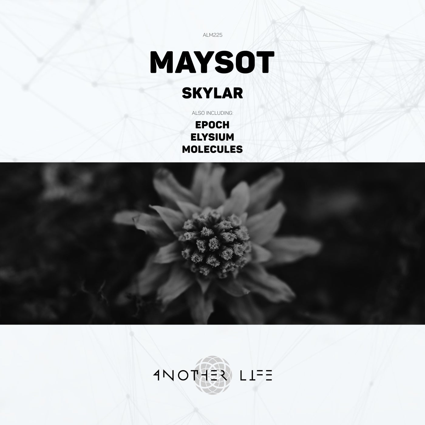 Skylar