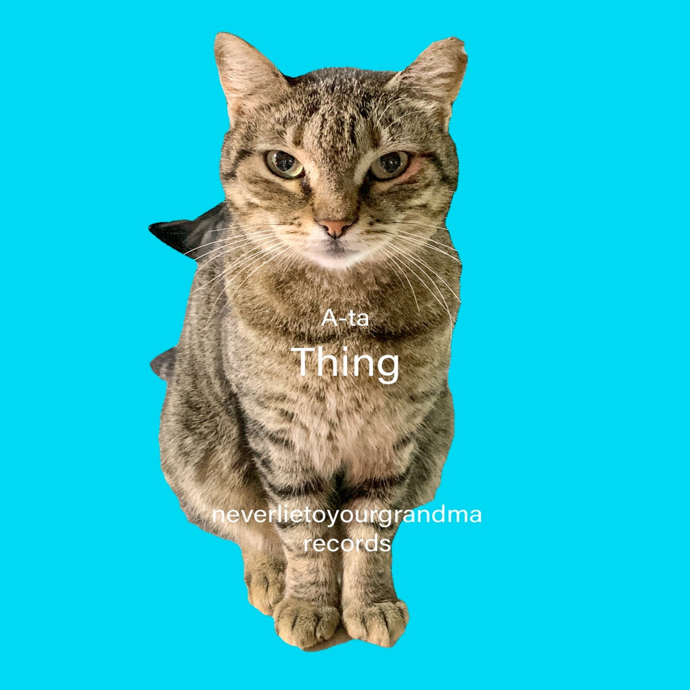 Thing