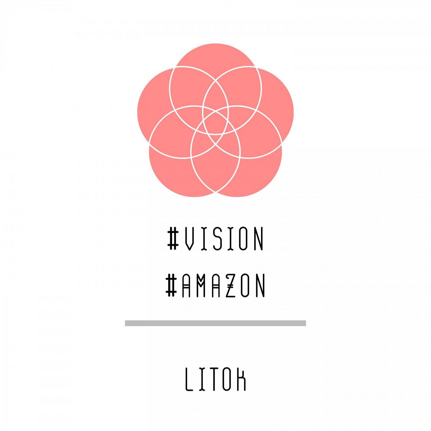 Vision-Amazon