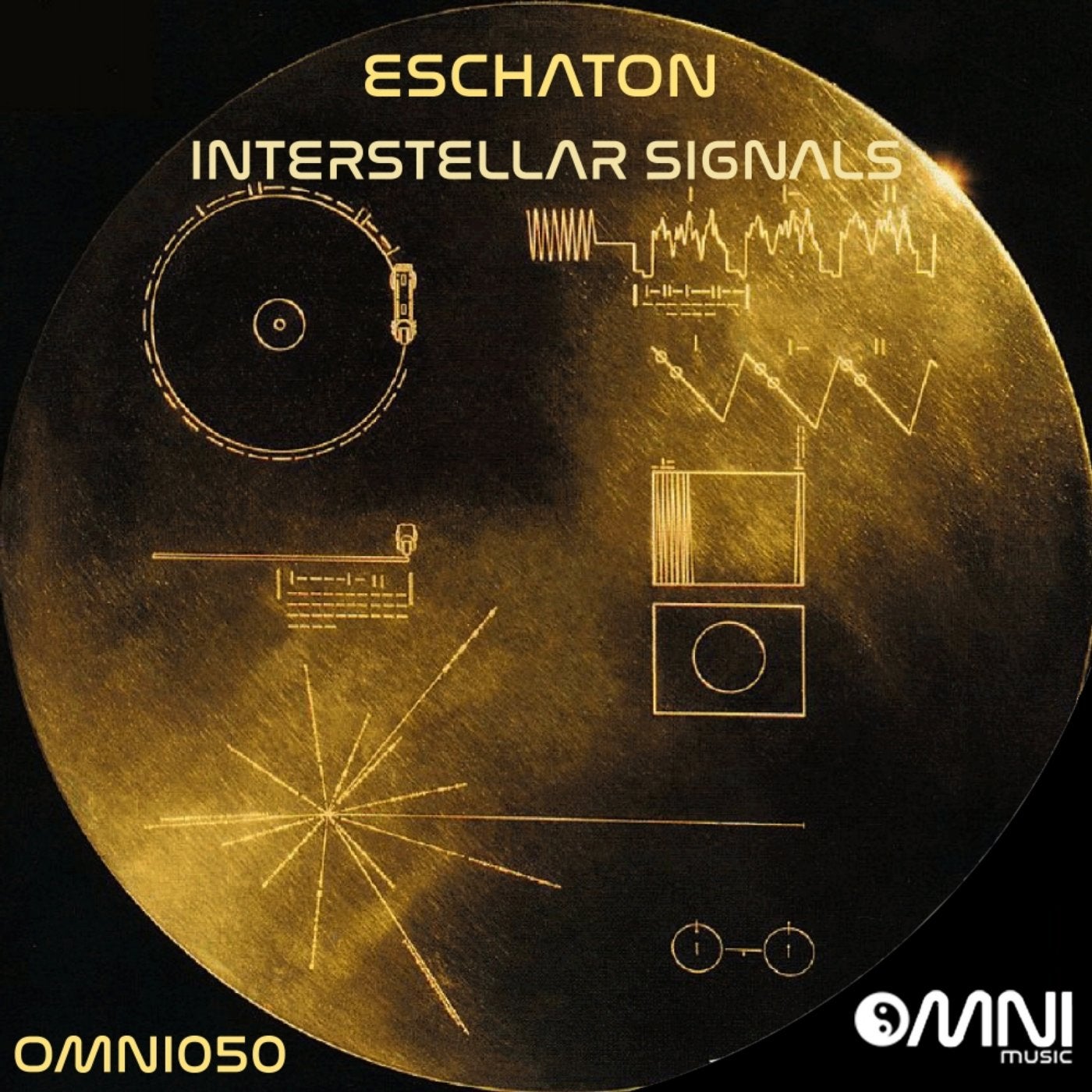 Interstellar Signals