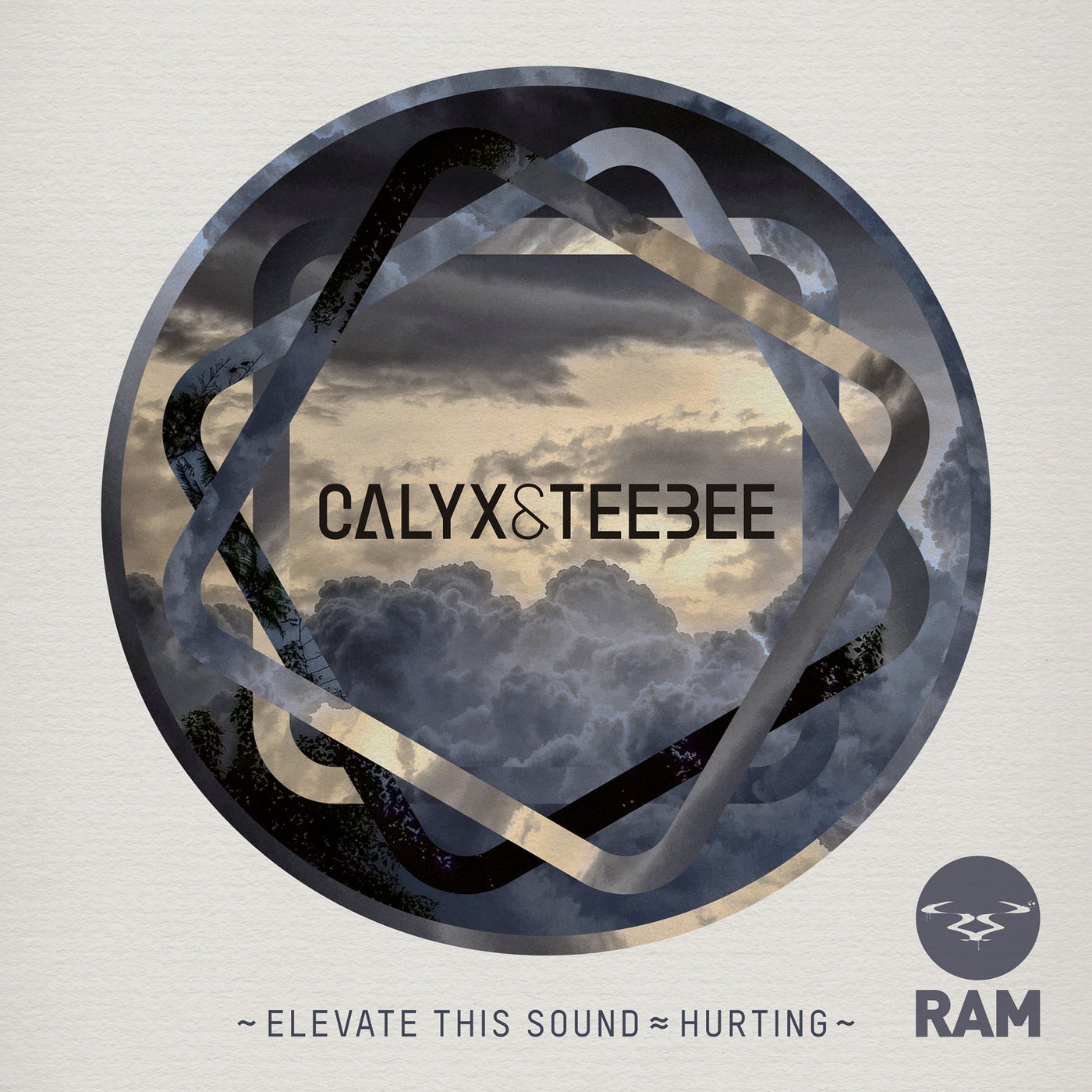 Hurt sound. Calyx & Teebee. Calyx Teebee all or nothing. Elevate группа. Calyx DNB.