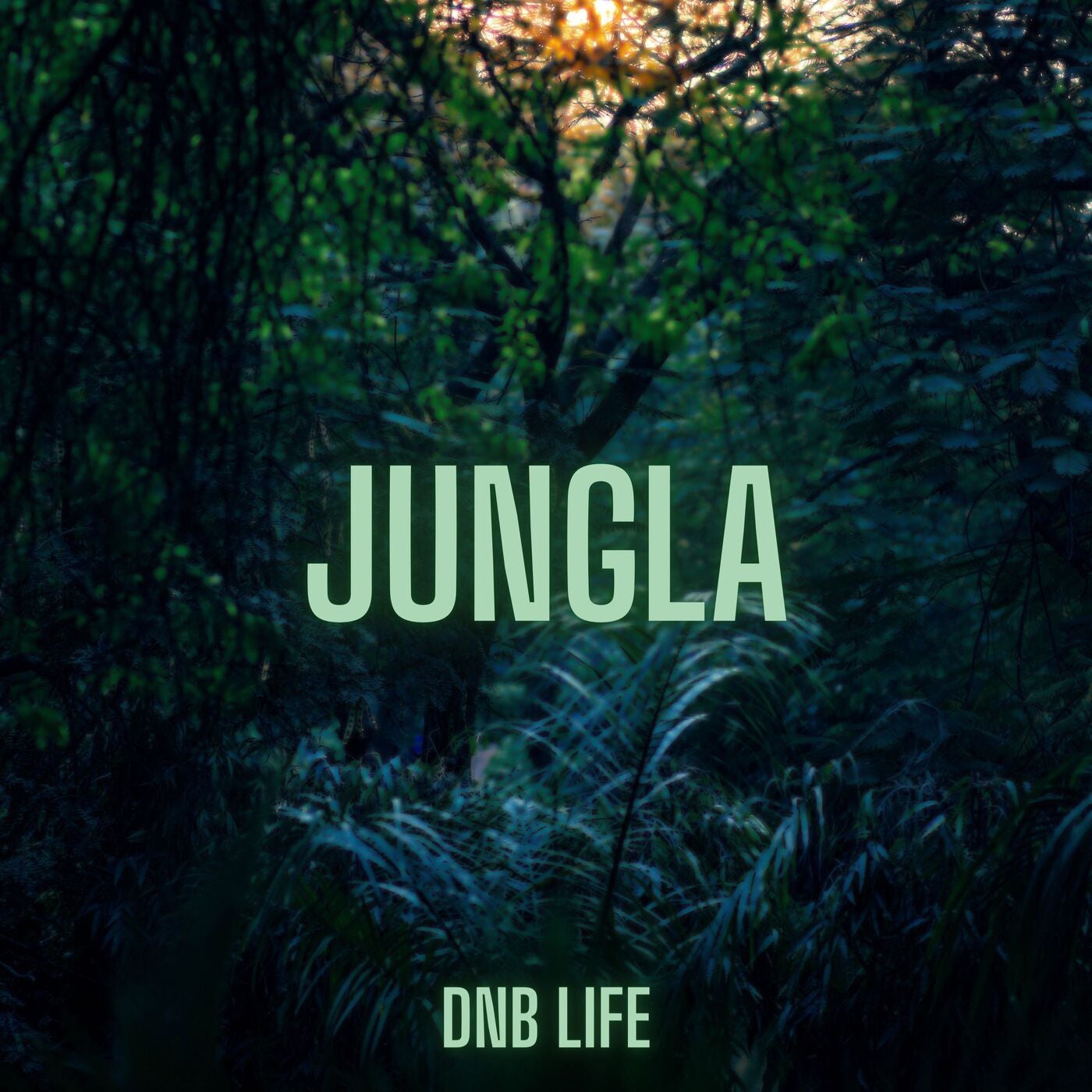 Jungla