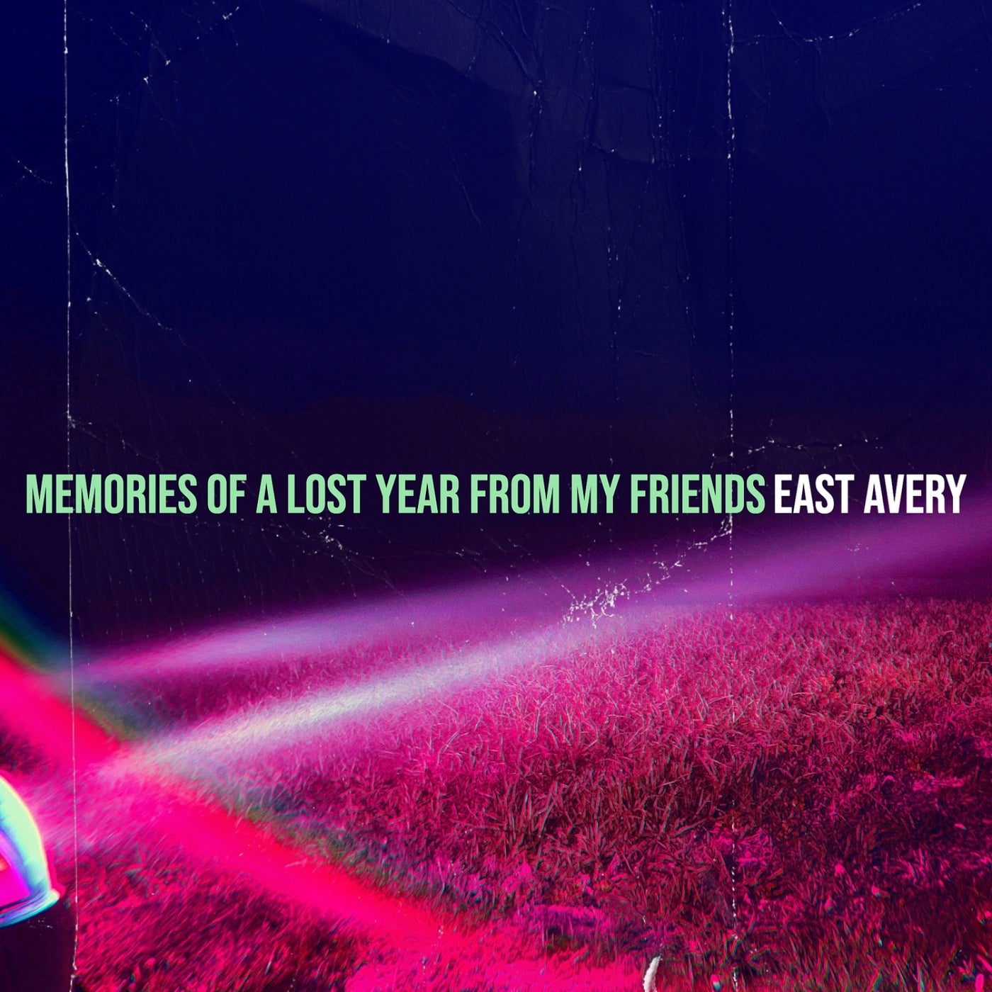 Memories of a Lost Year from My Friends
