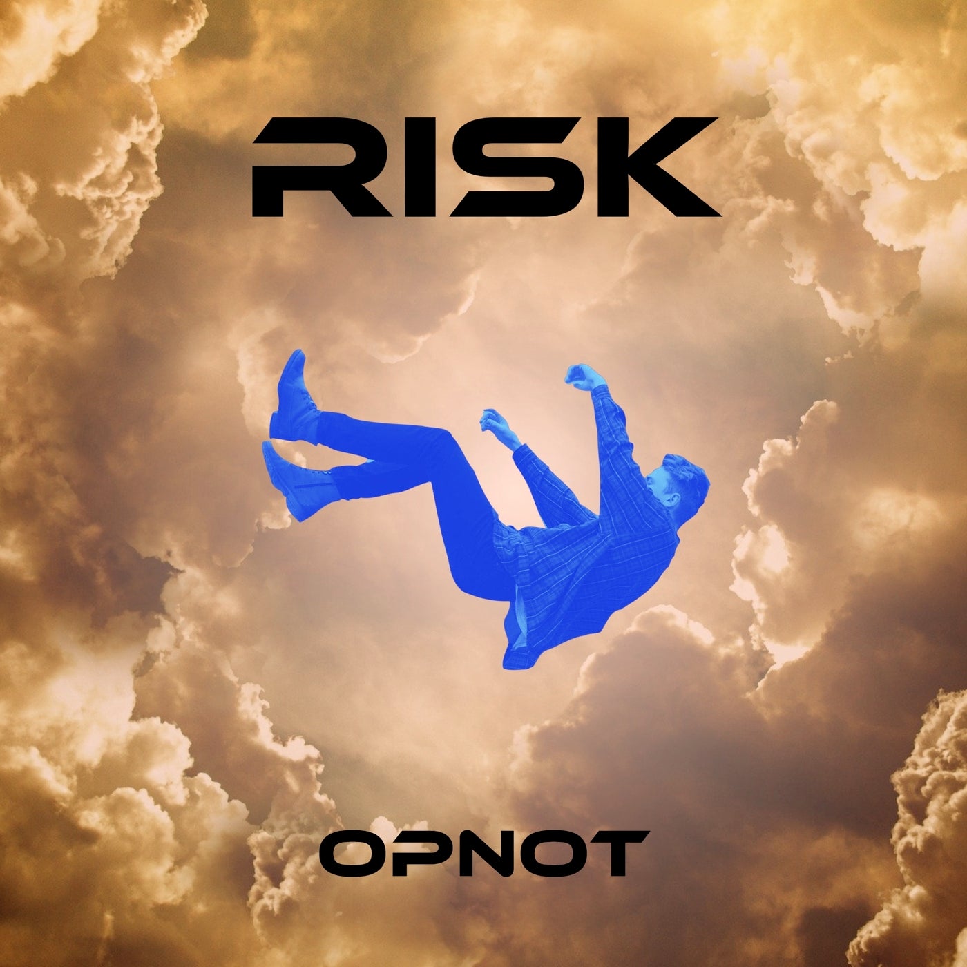 Risk