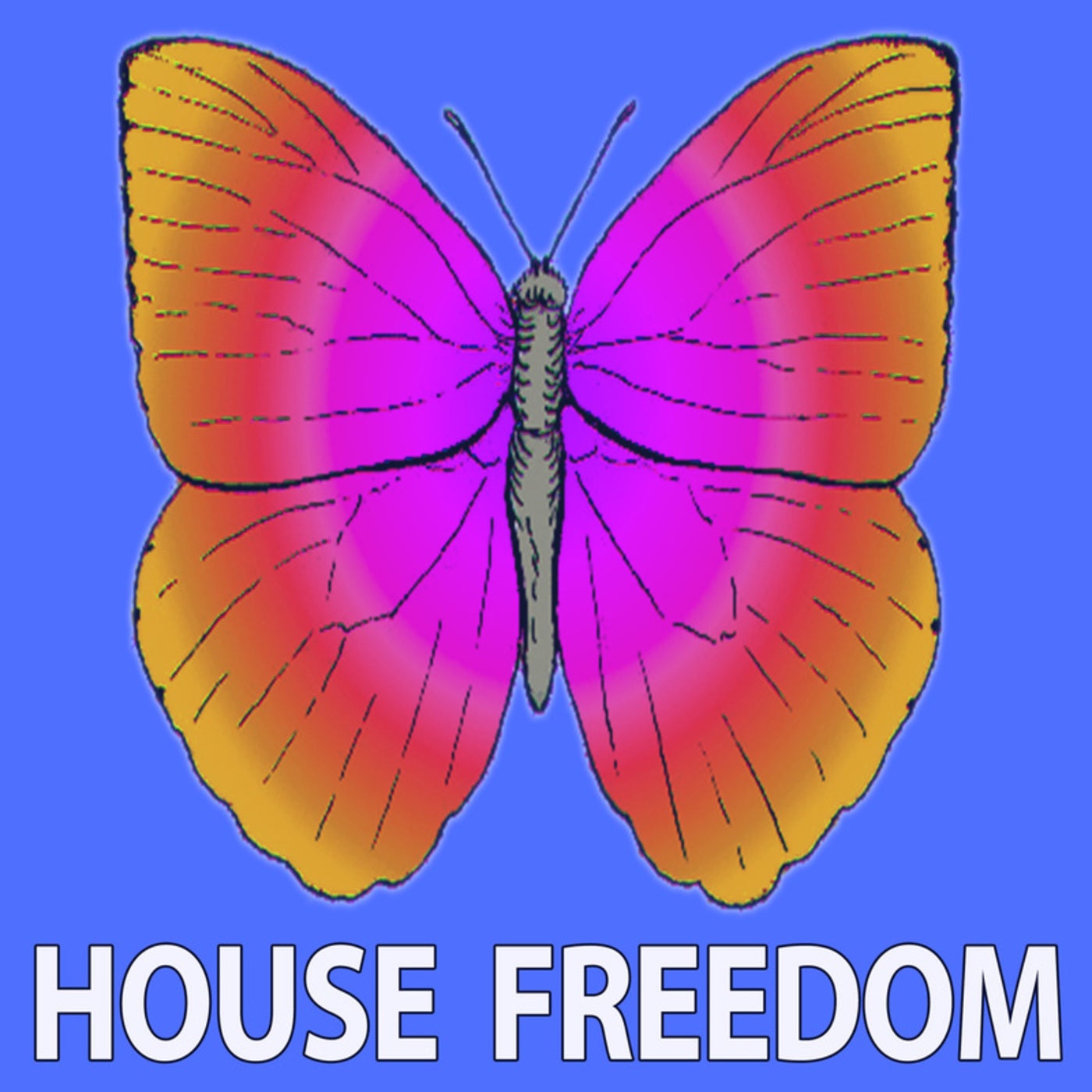 Funky House preview 3