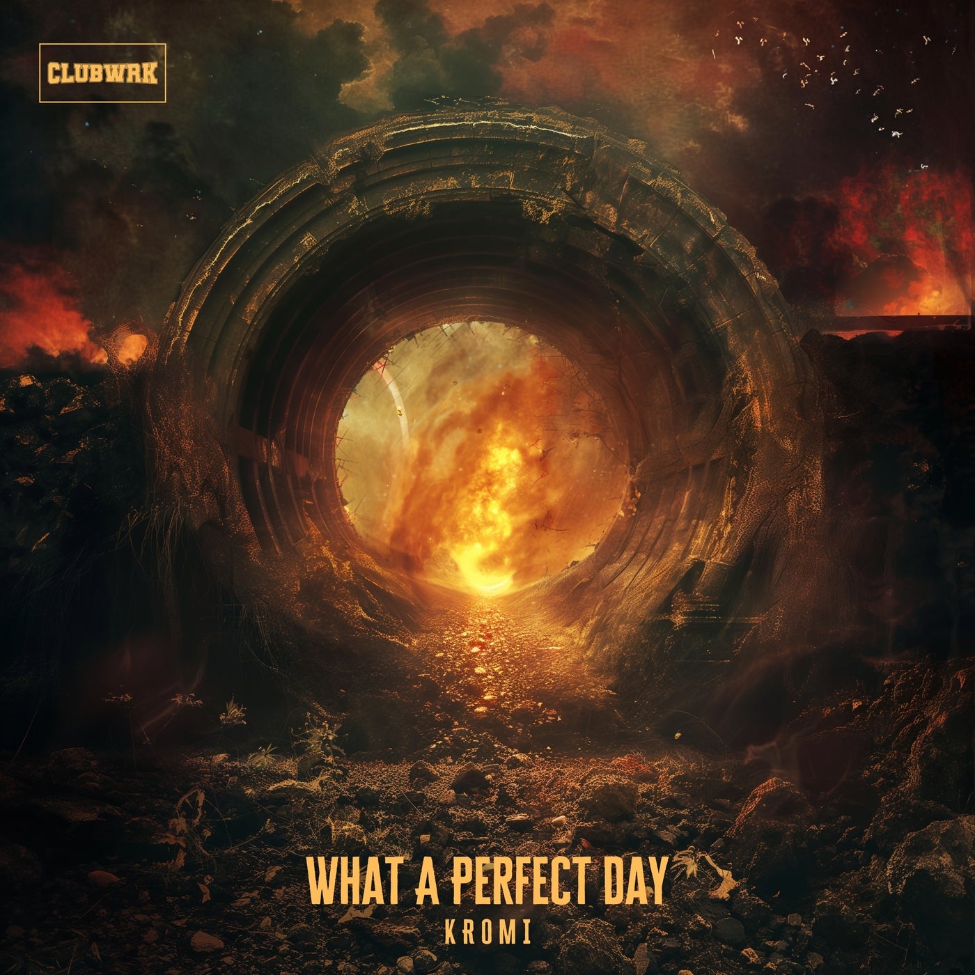 What A Perfect Day - Extended Mix