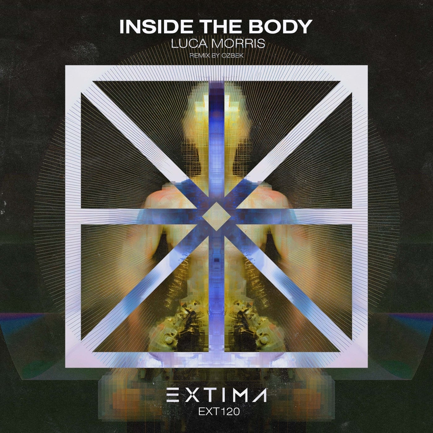 Inside the Body
