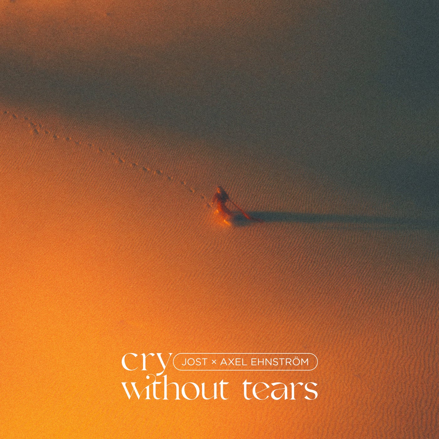 Cry Without Tears