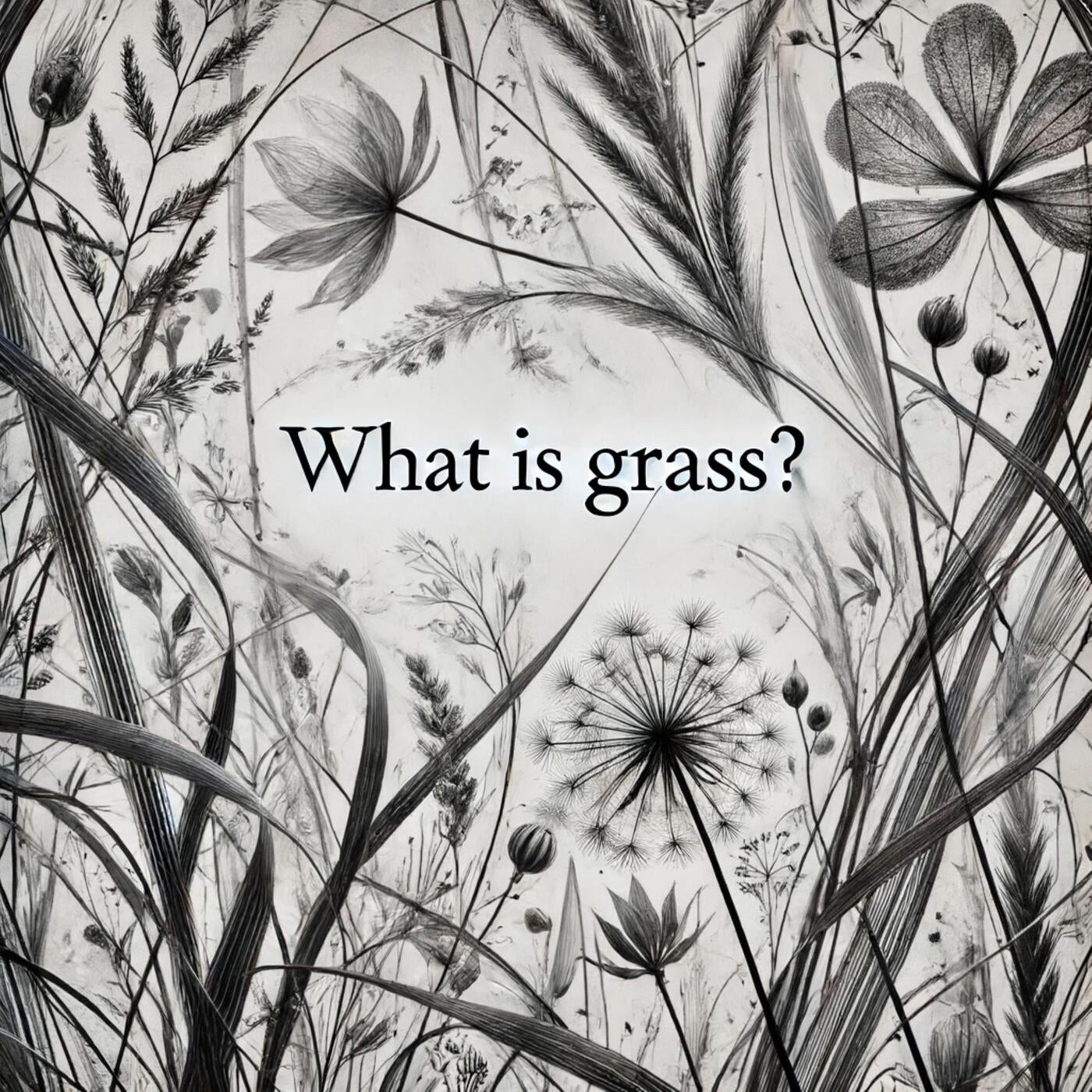 Grass