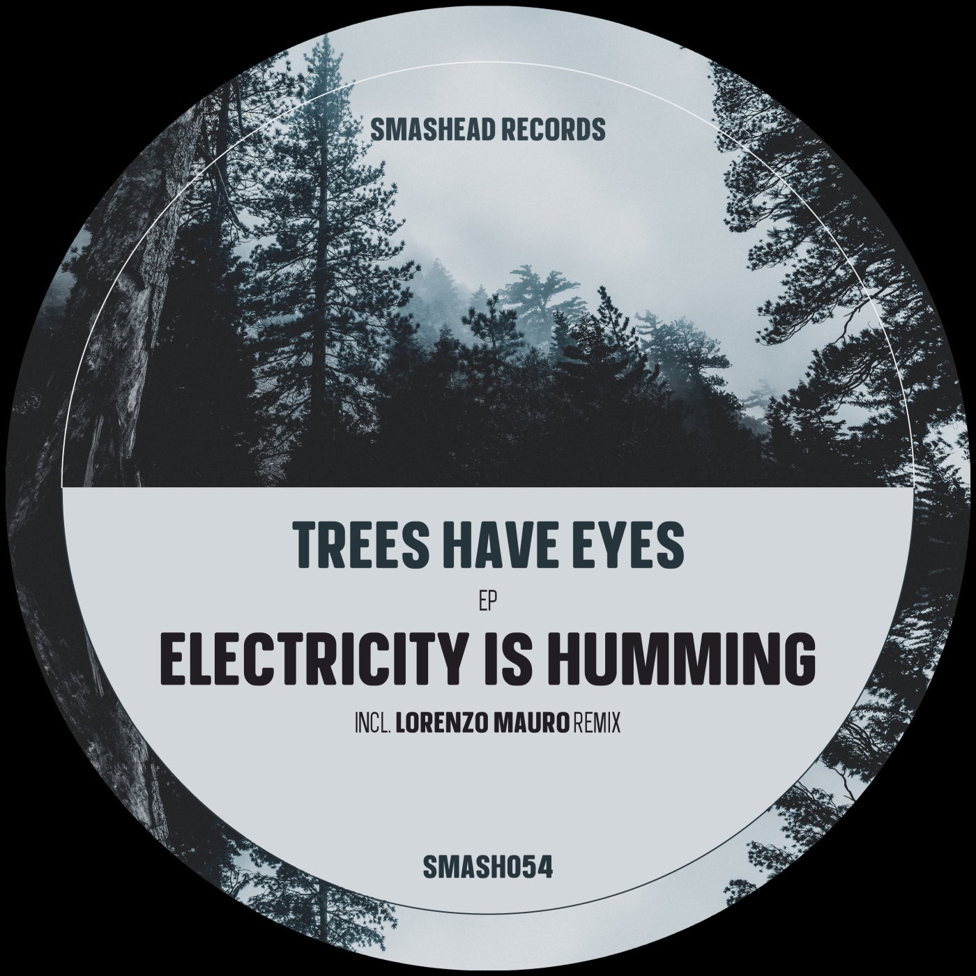 Trees Have Eyes