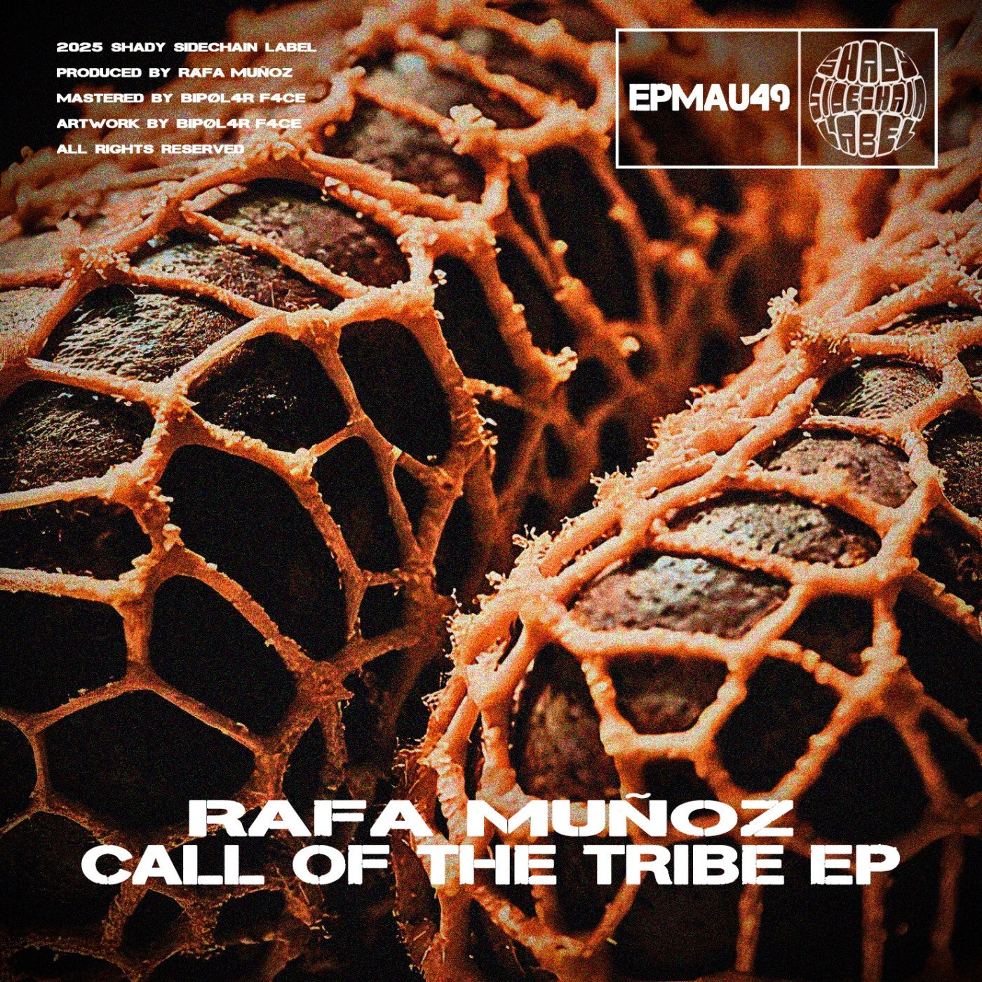 Call Of The Tribe EP