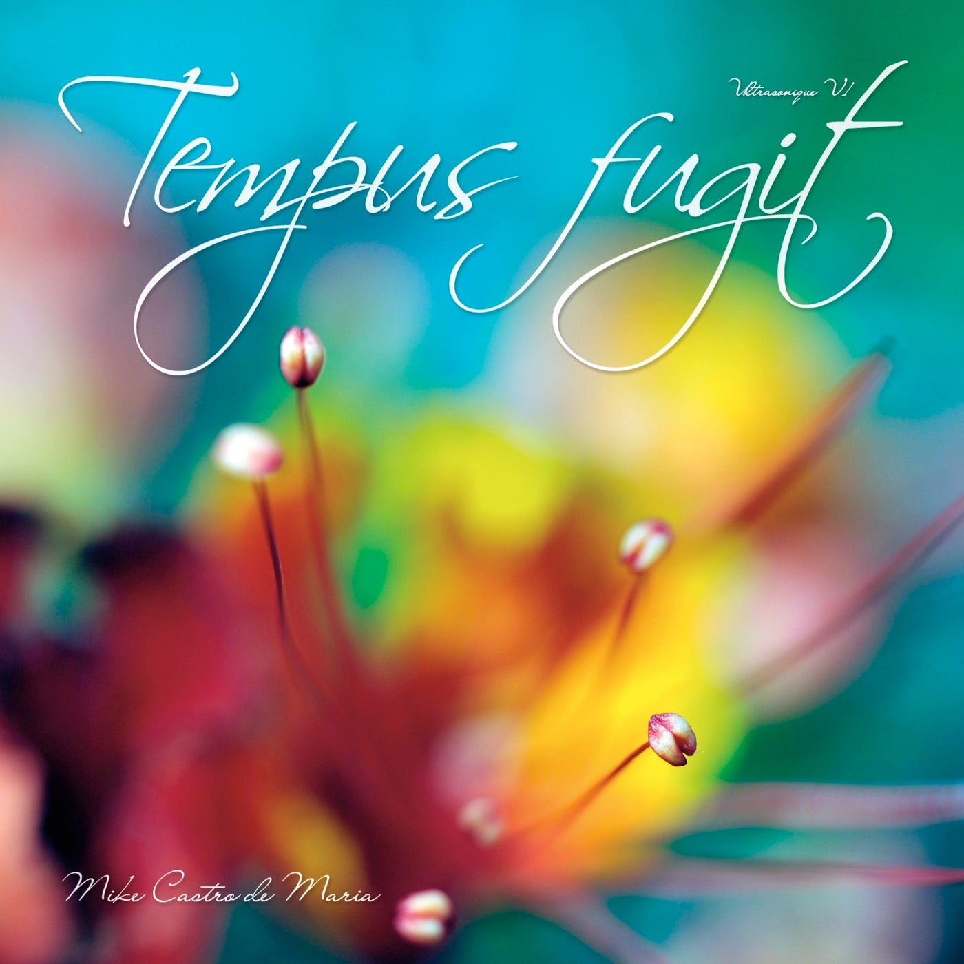 Tempus Fugit - Ultrasonique V1