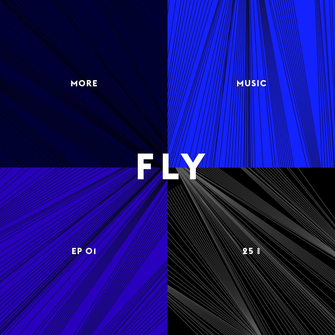 Fly