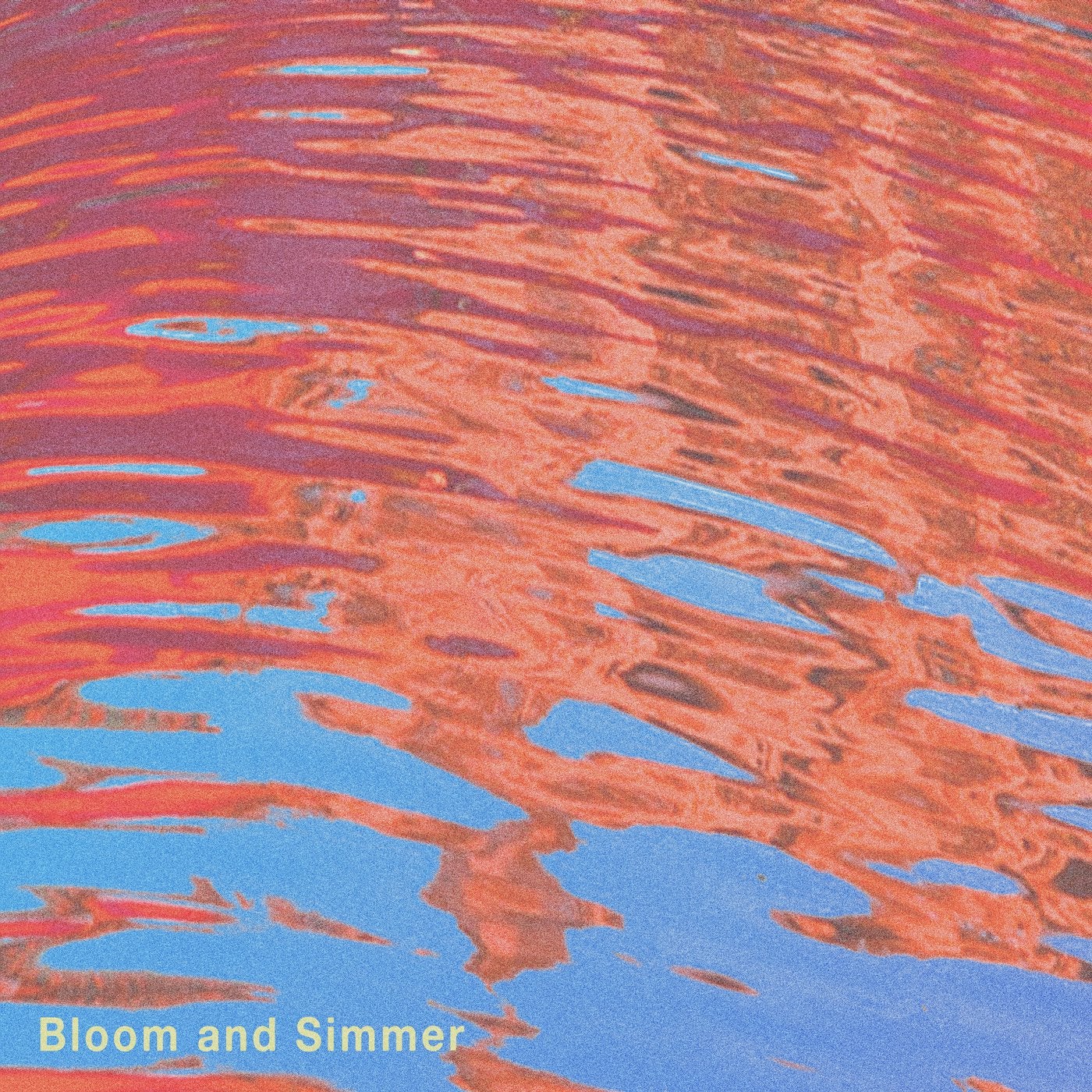 Bloom and Simmer