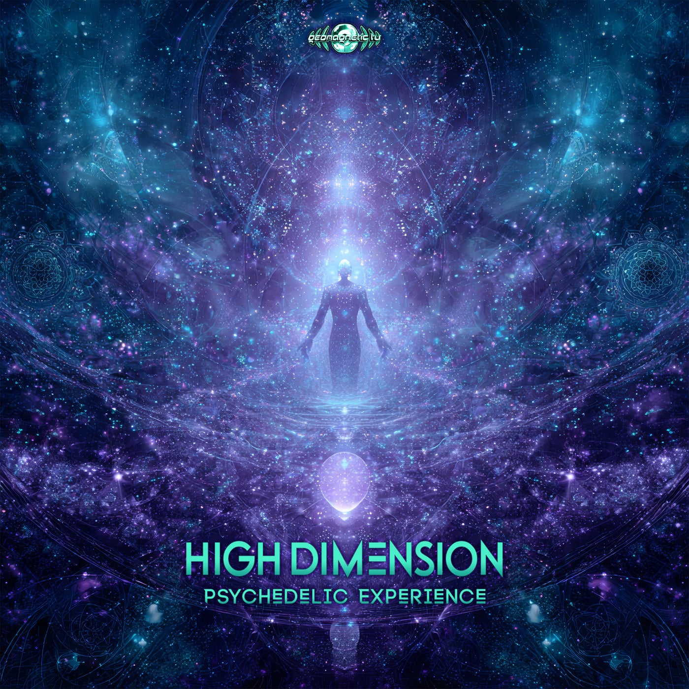 Psychedelic Experience