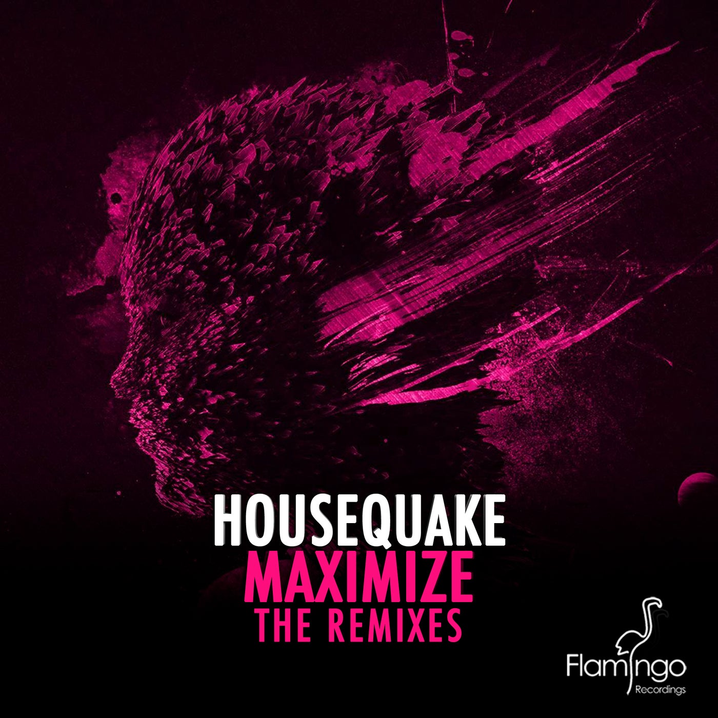 Maximize - The Remixes