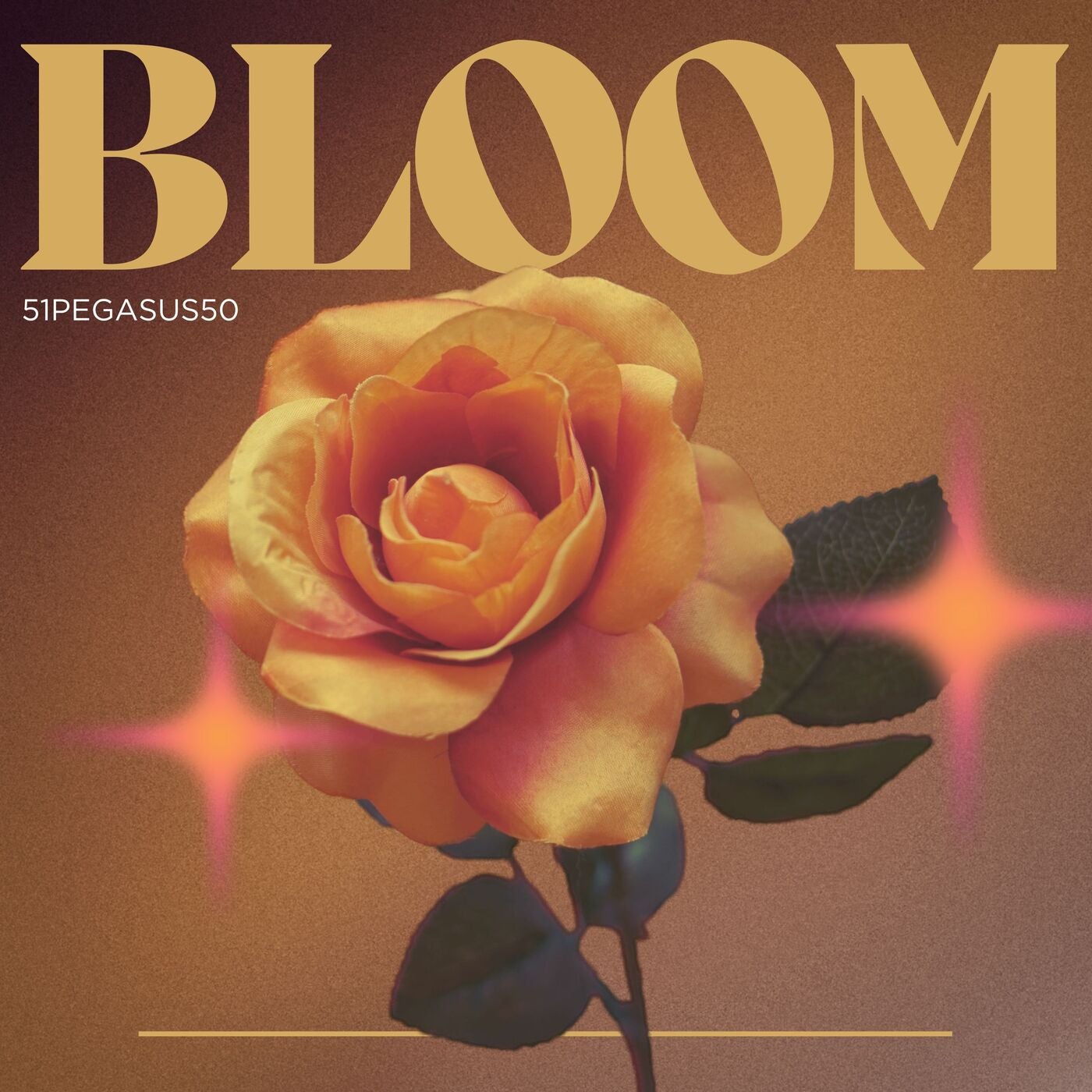 Bloom