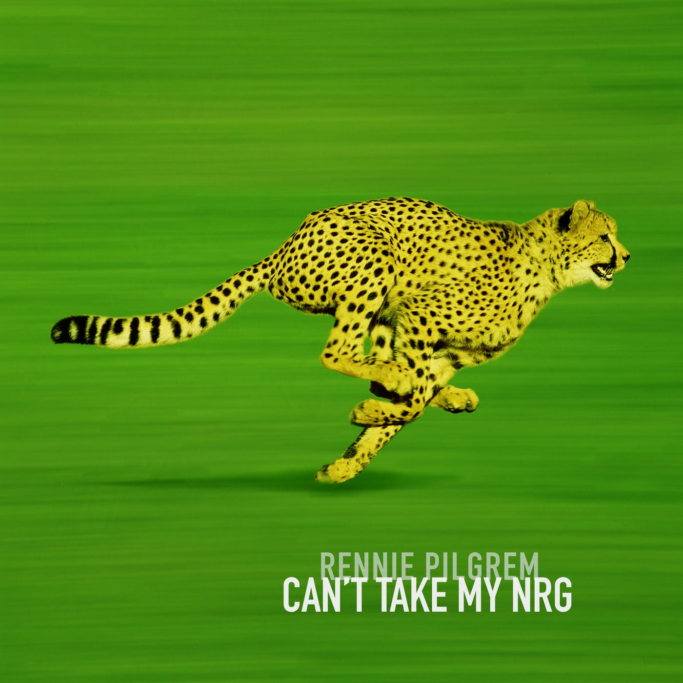 Can't Take My NRG - Dub Version