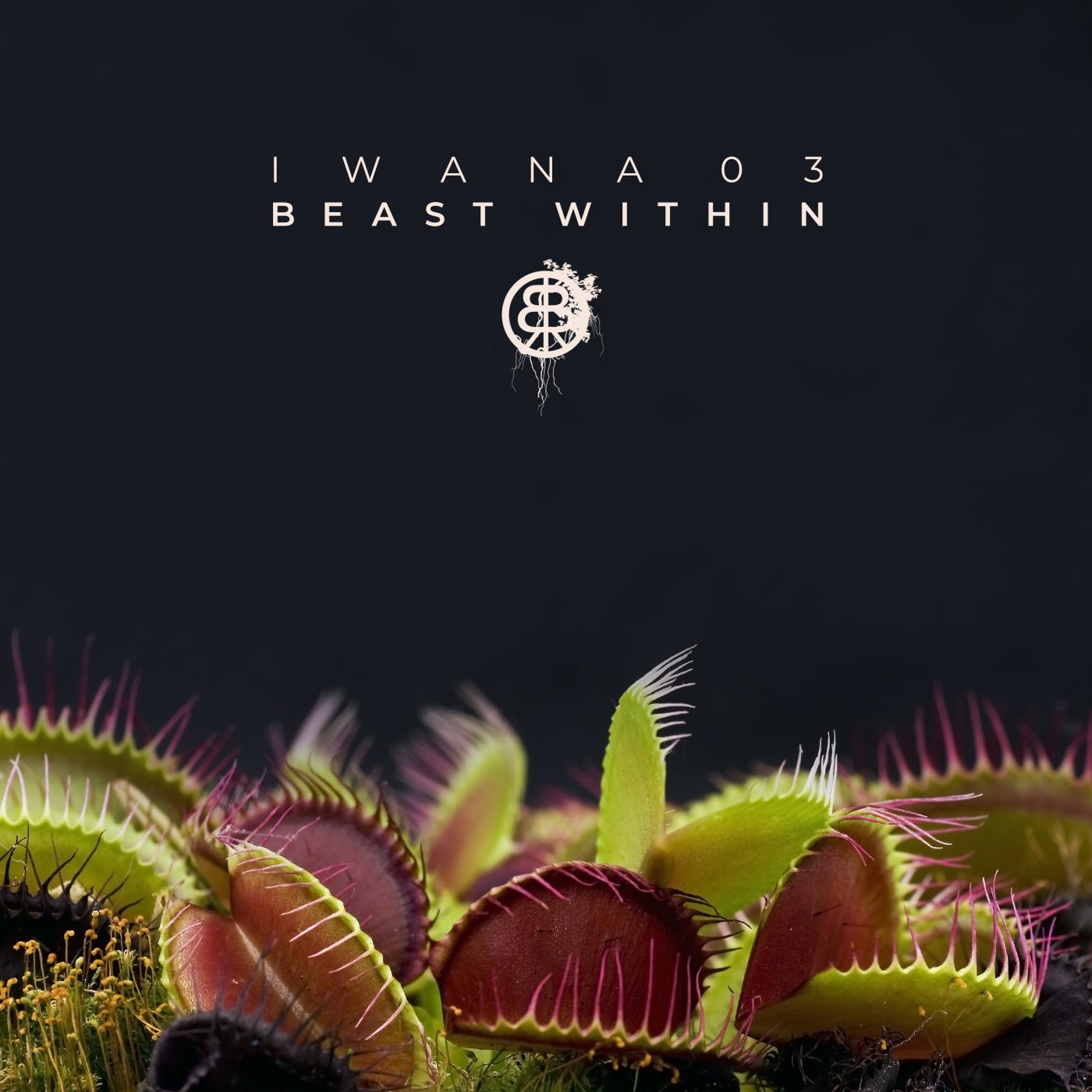IWANA 03 - Beast Within