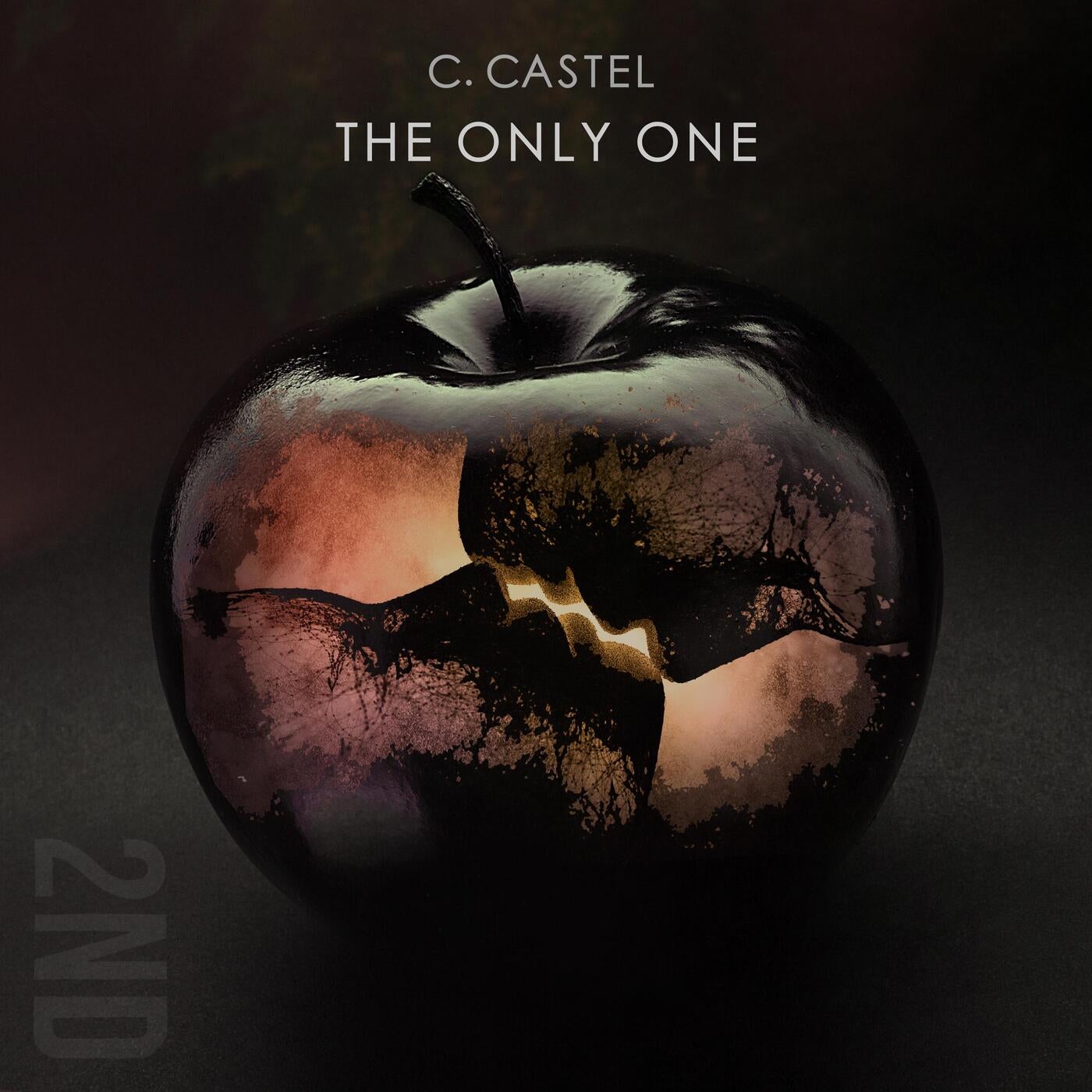 The Only One (feat. Meghan Montenegro)
