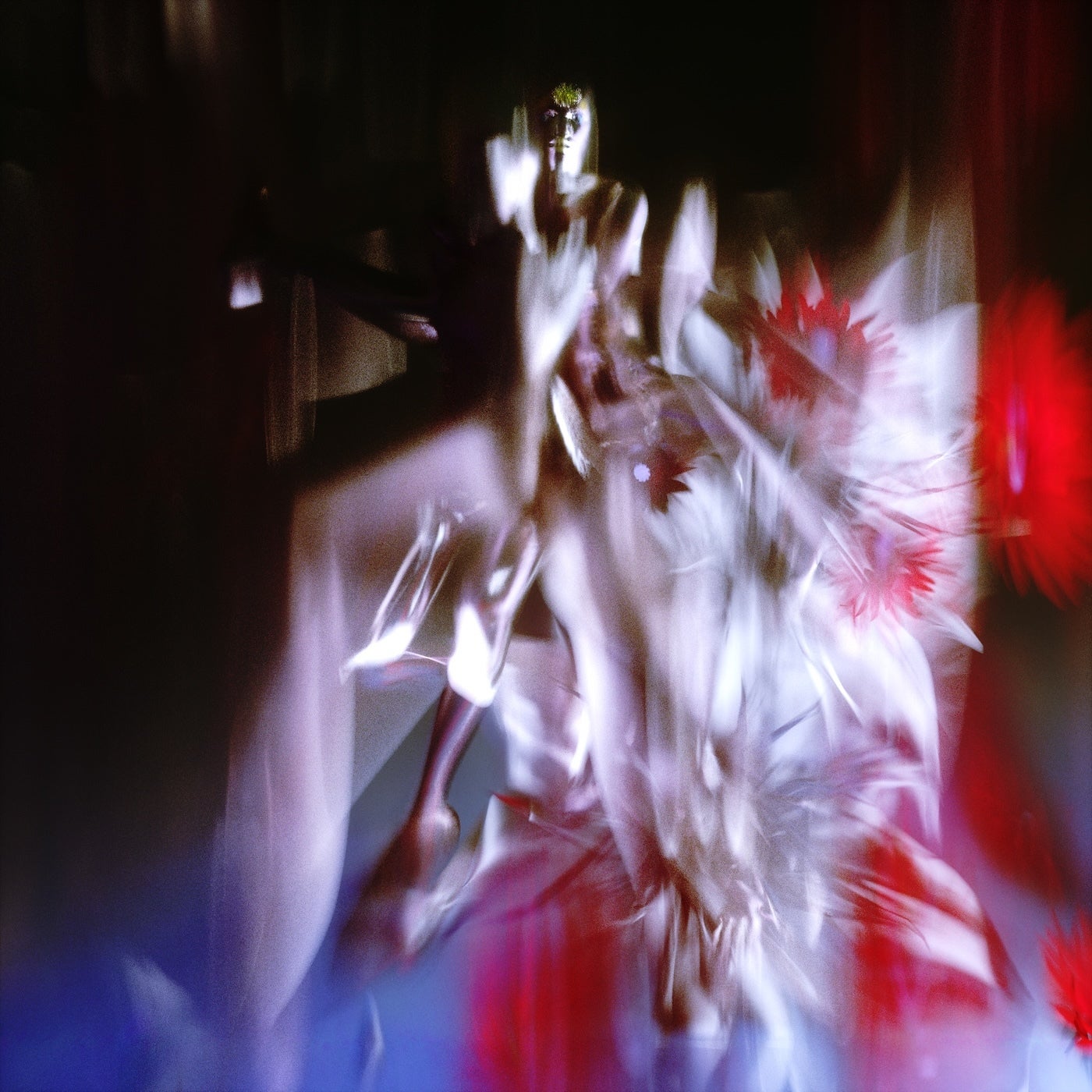Bass / Club preview 5