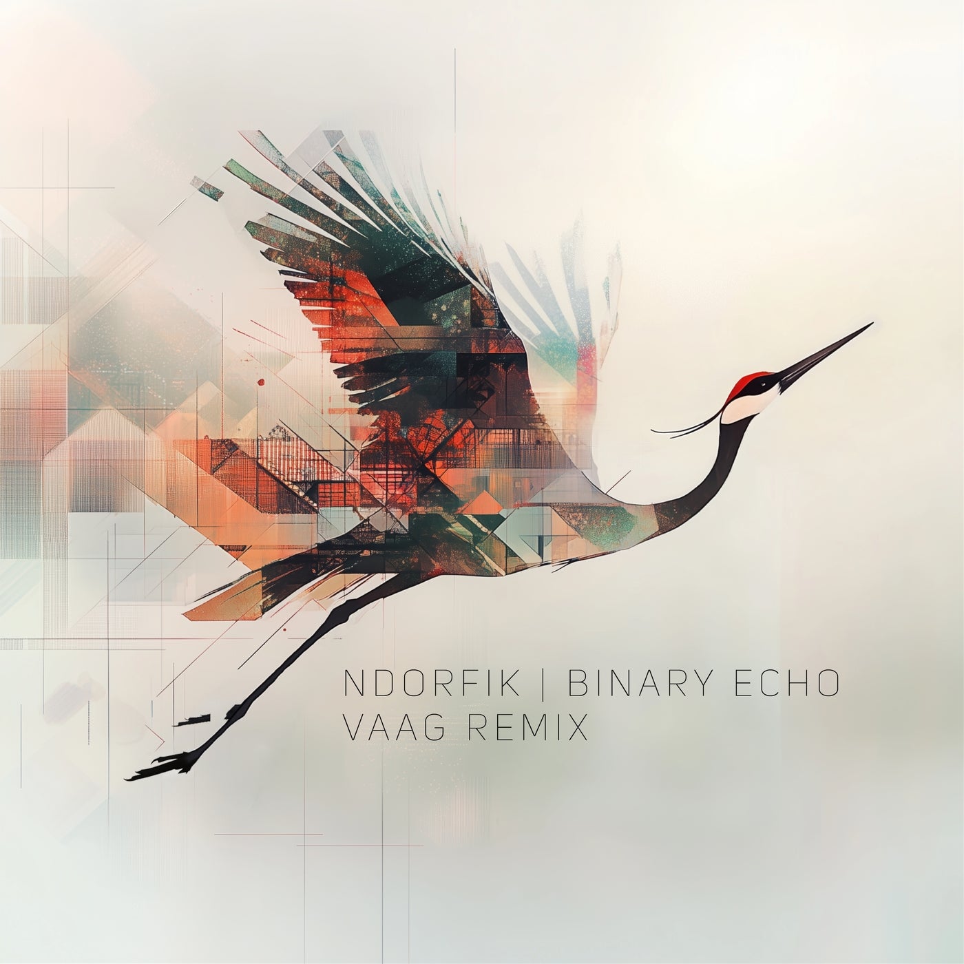 Binary Echo