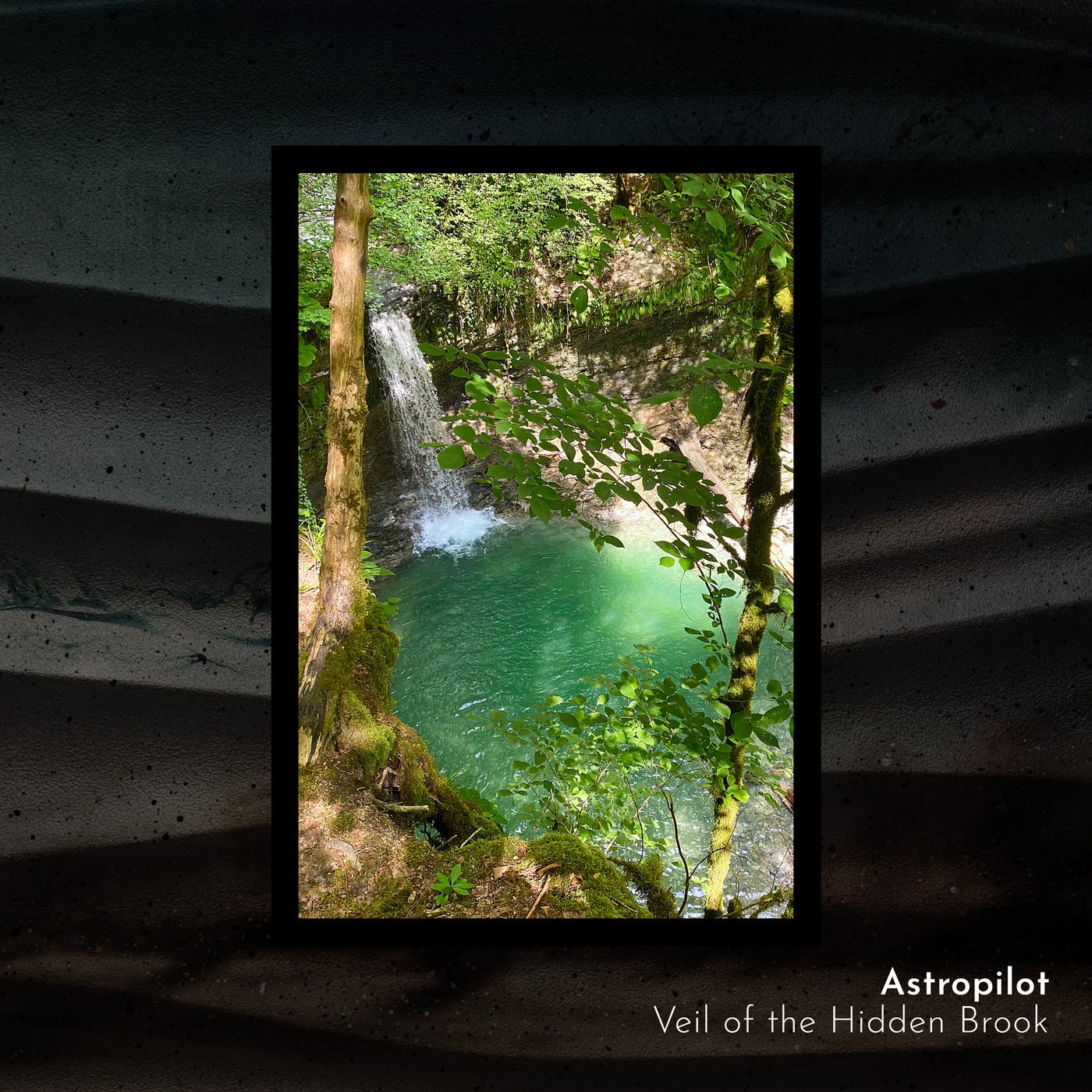 Veil of the Hidden Brook
