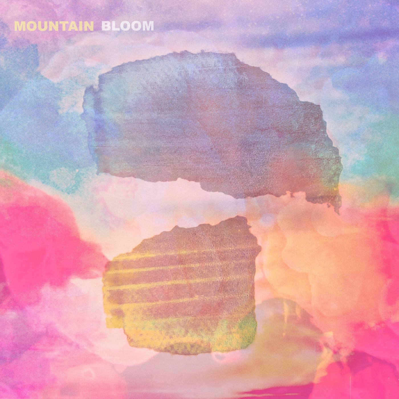 Mountain Bloom