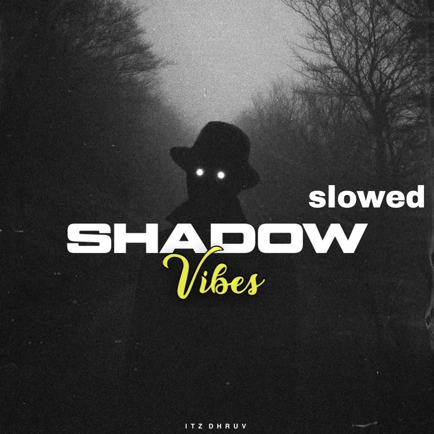 Shadow Vibes (Slowed)