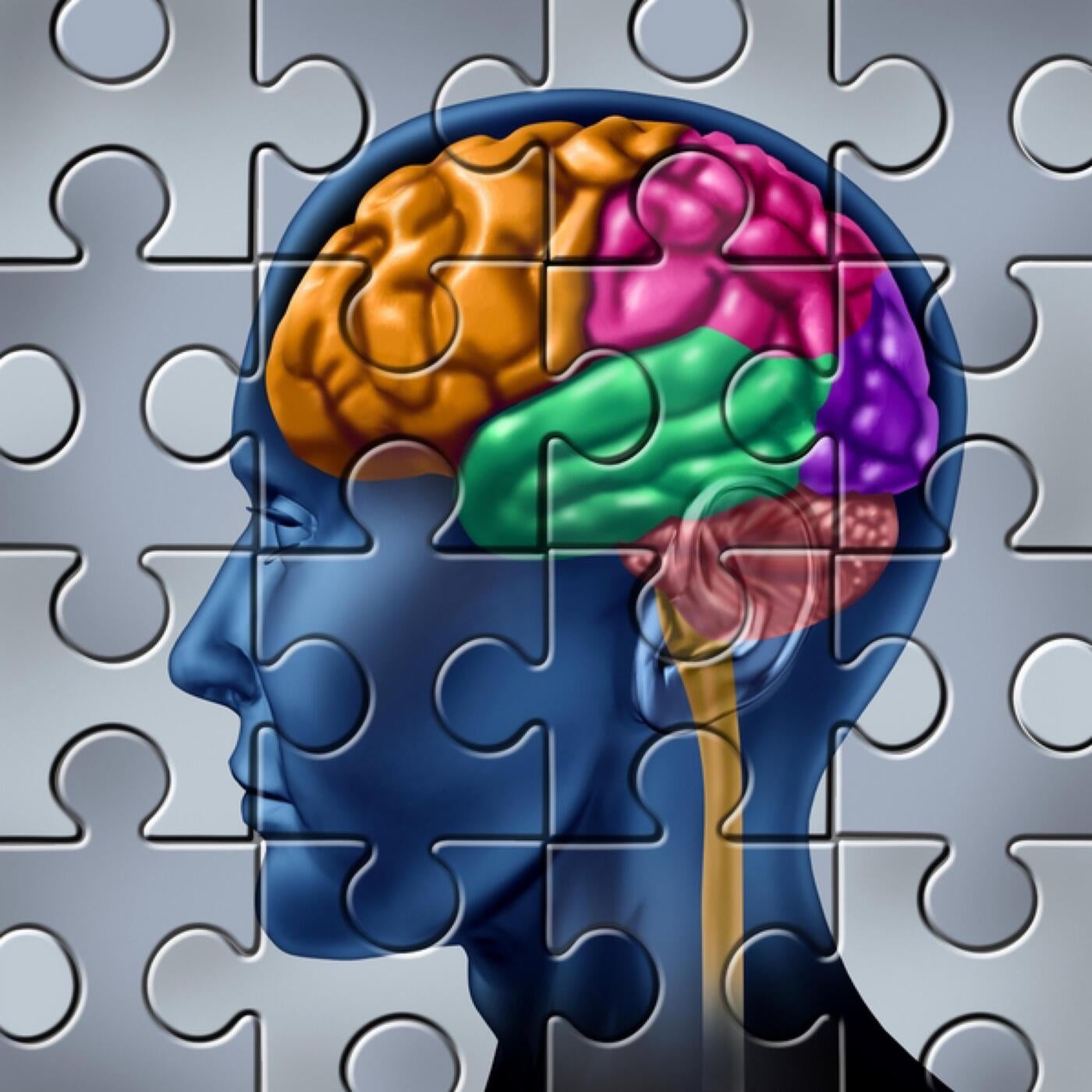 Enigma brain. Память человека. Человеческий мозг пазл. Мозг память. Память мозг пазл.