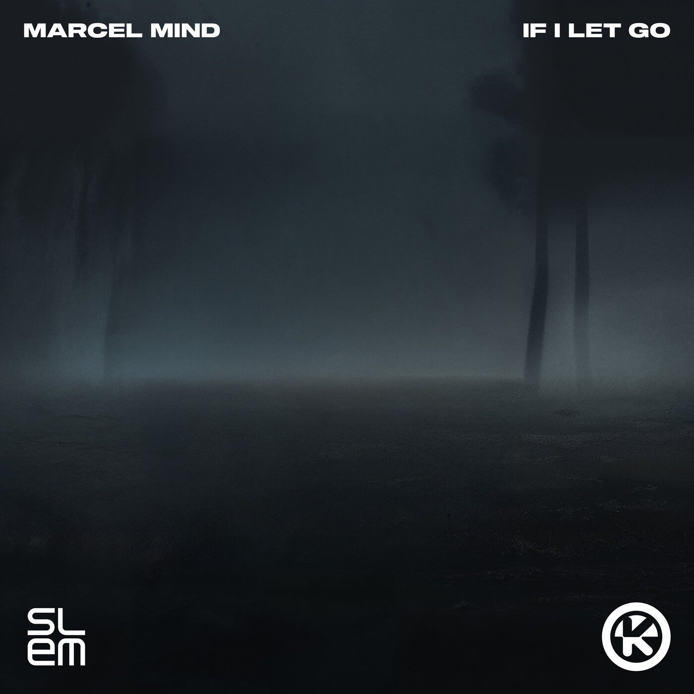 If I Let Go