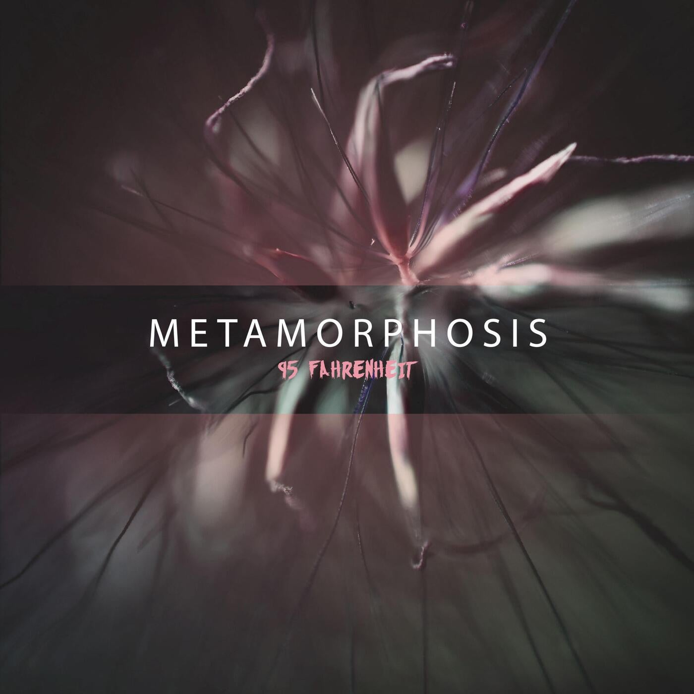 METAMORPHOSIS