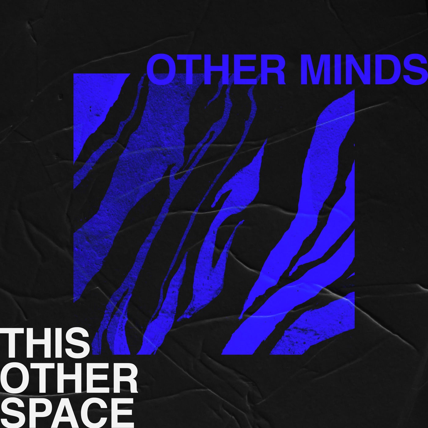 Other Minds