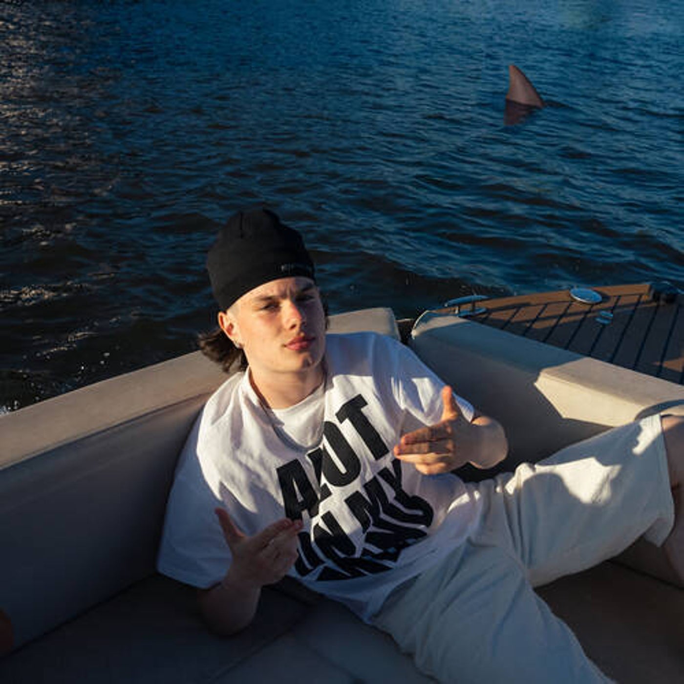 Cover art for TANLINES