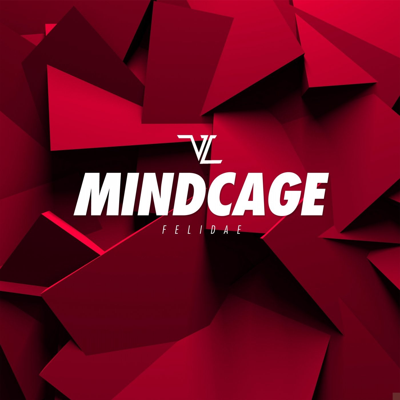 Mindcage