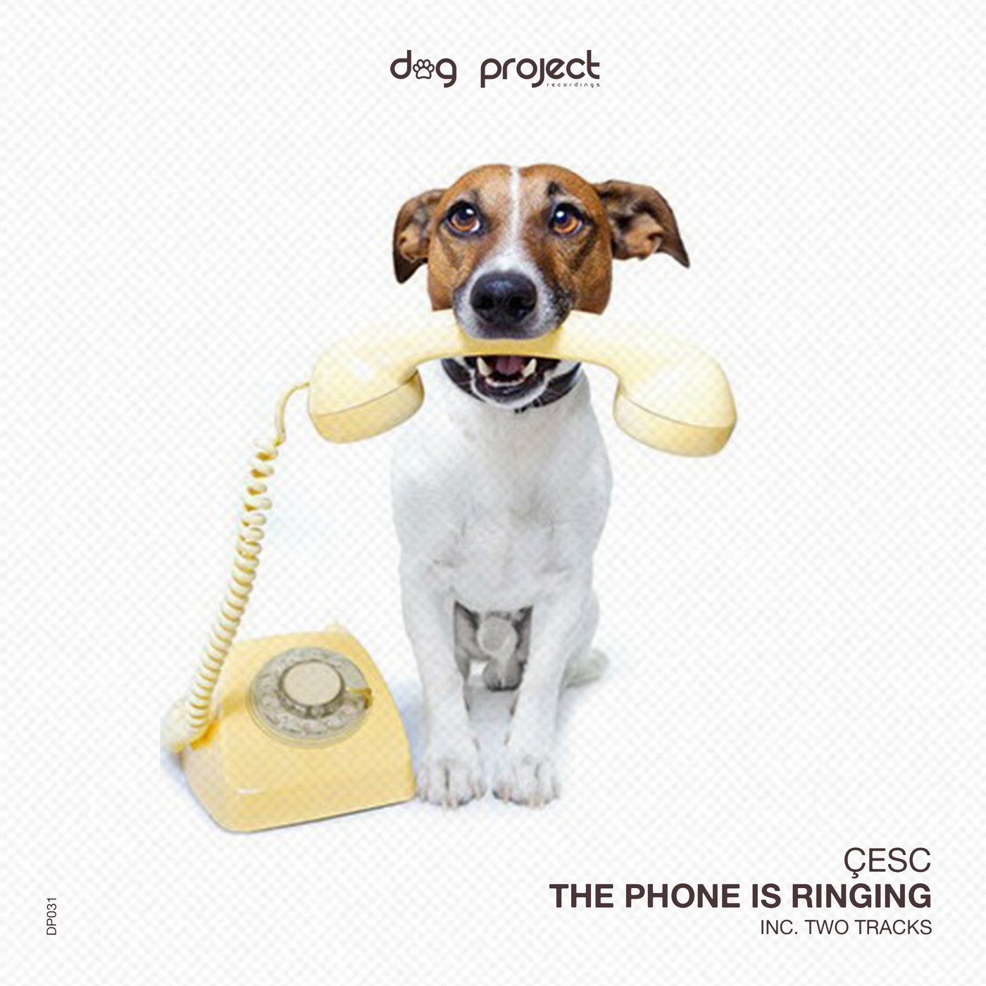 The Phone Is Ringing EP