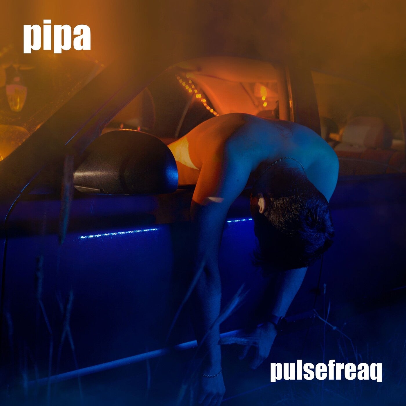 Pipa