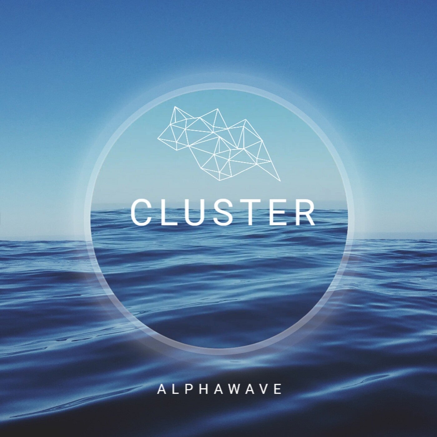 Cluster