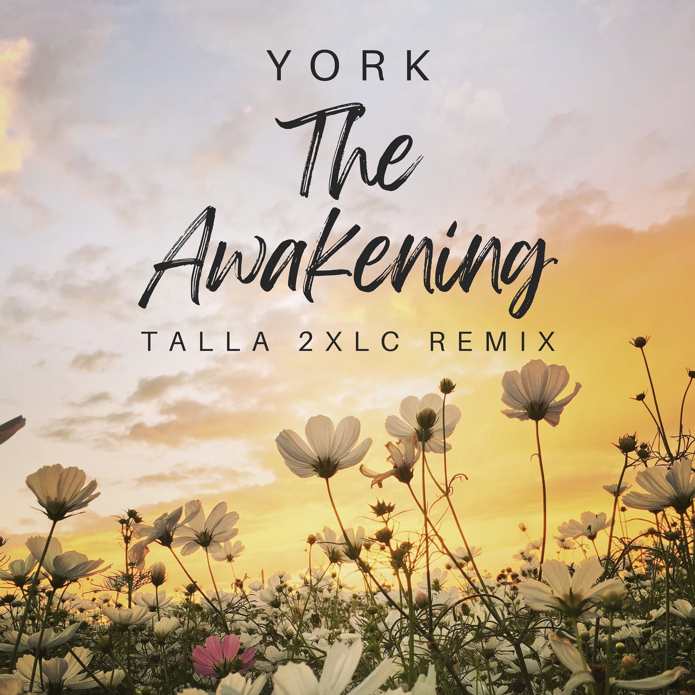 The Awakening - Talla 2XLC Remix