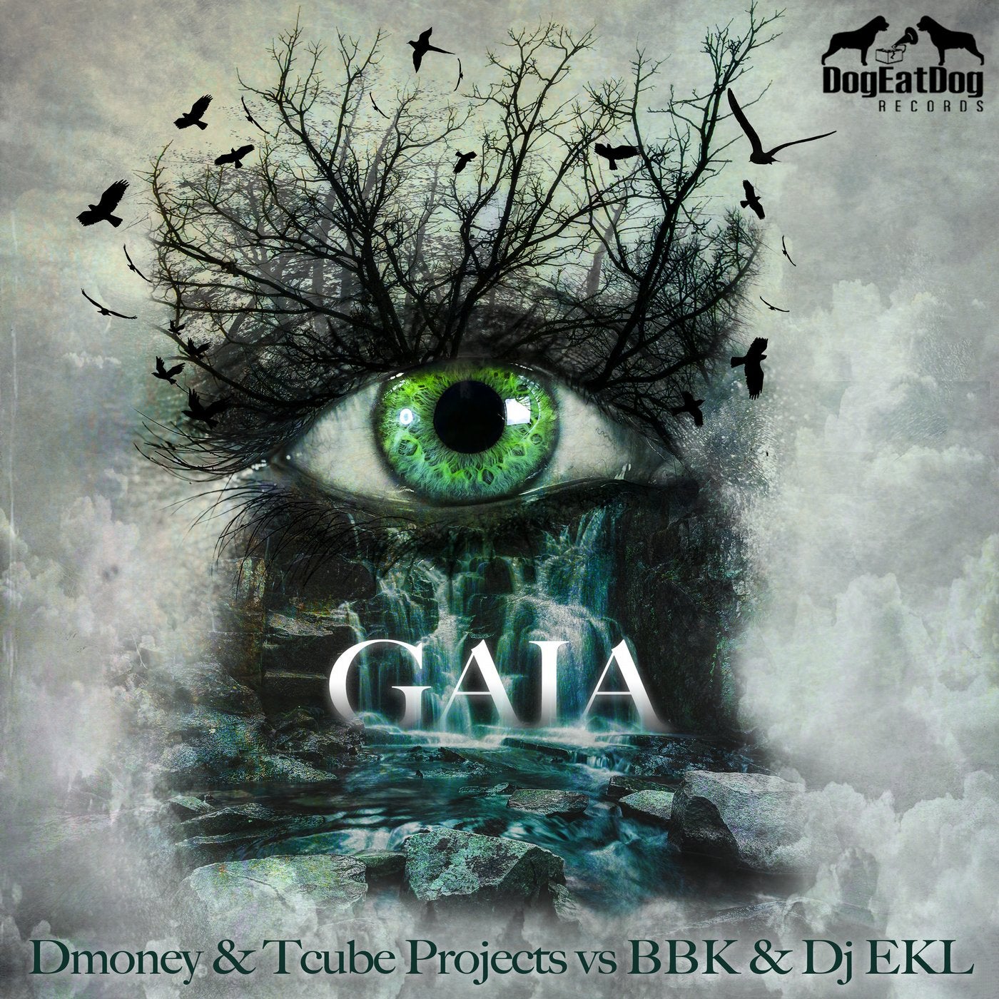 GAIA