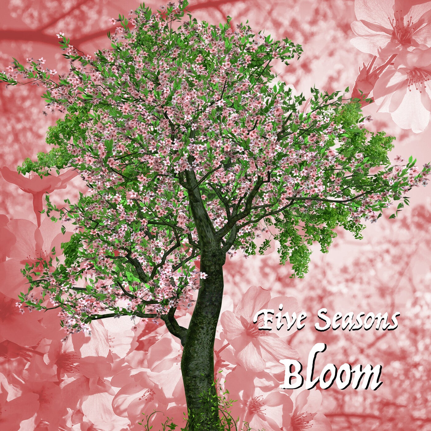 Bloom