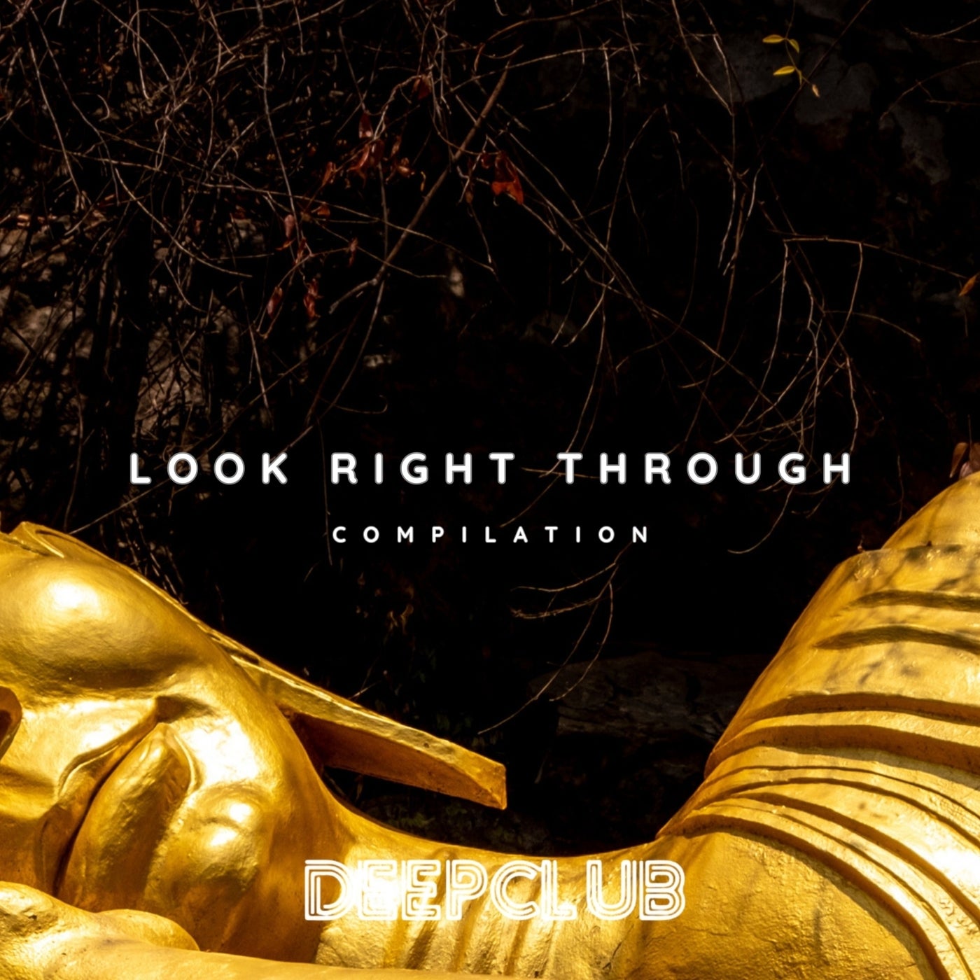 Look Right Through