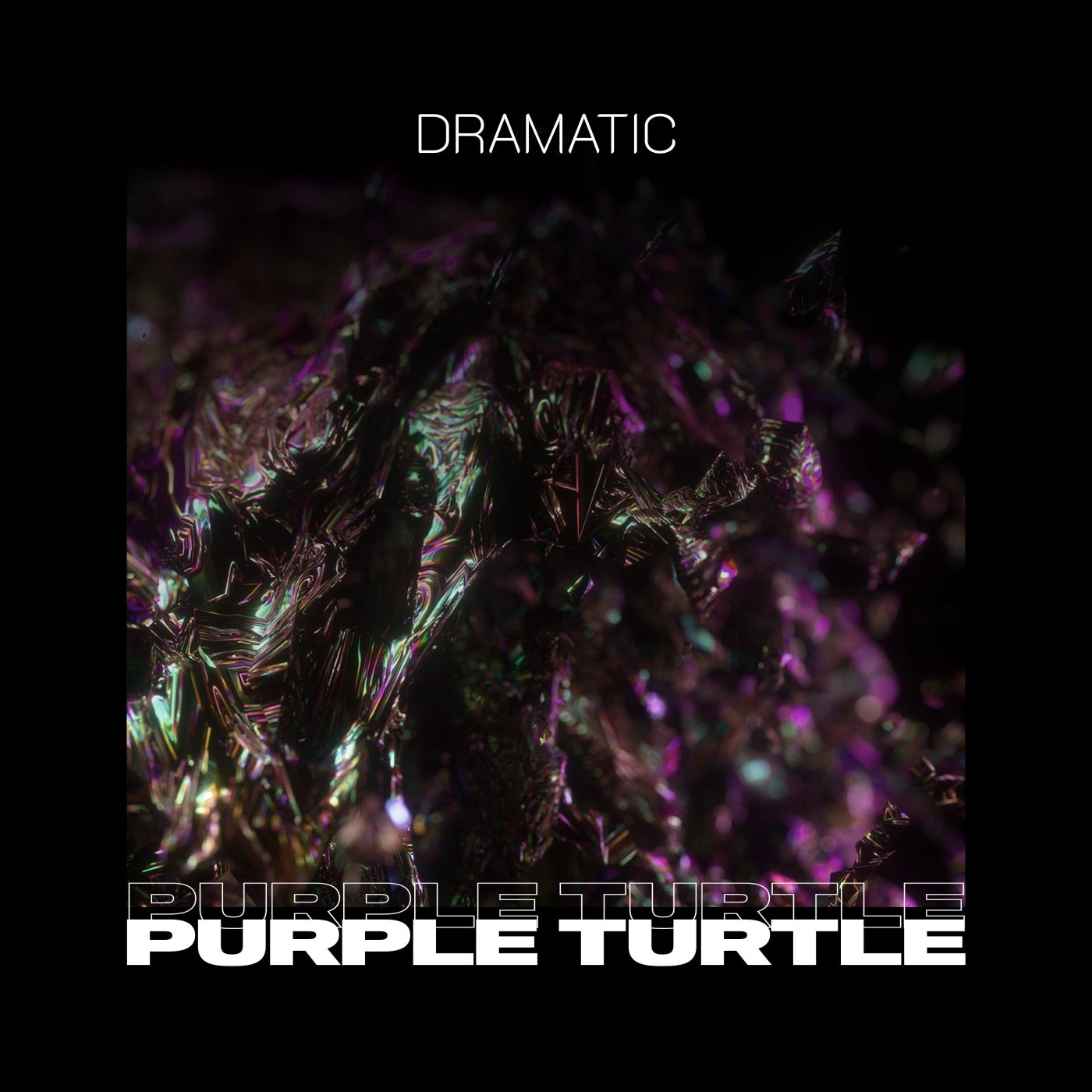 Purple Turtle