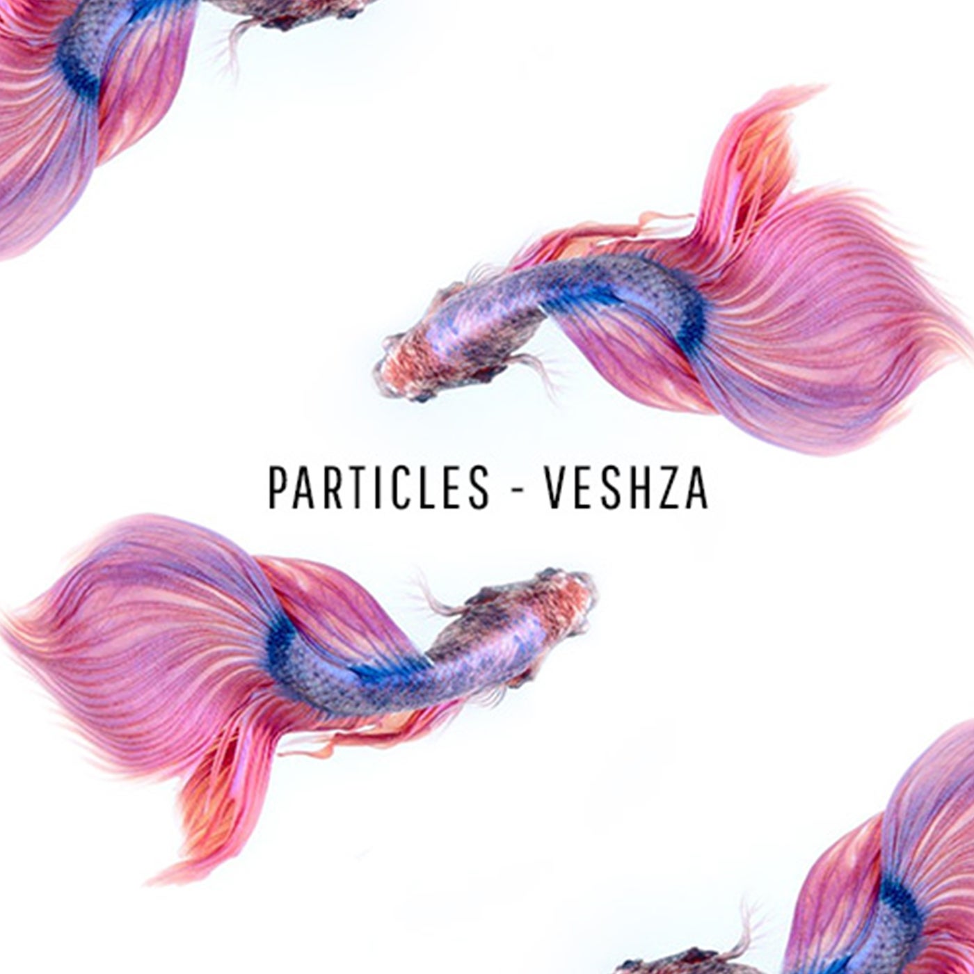 Particles