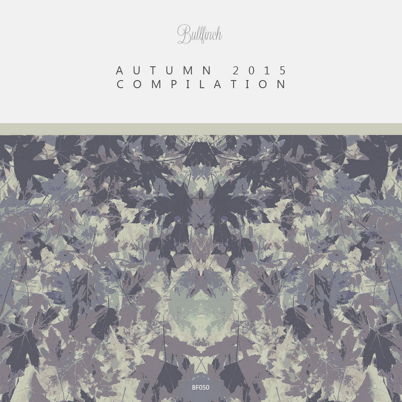 Bullfinch Autumn Compilation 2015