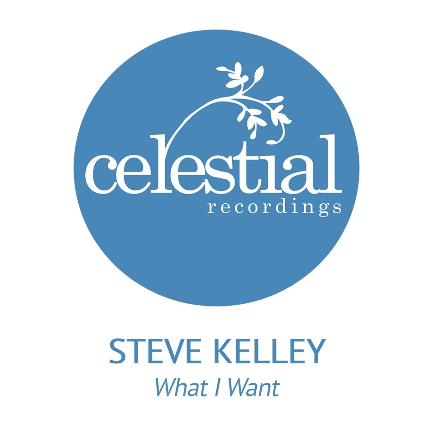 Steve Kelley – What I Want [Celestial Recordings]