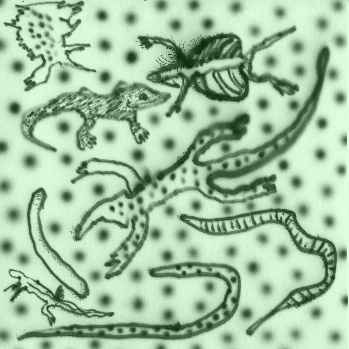 Vesu’s – List Of Lizards IV MAN002 Vesu’s – List Of Lizards IV MAN002
