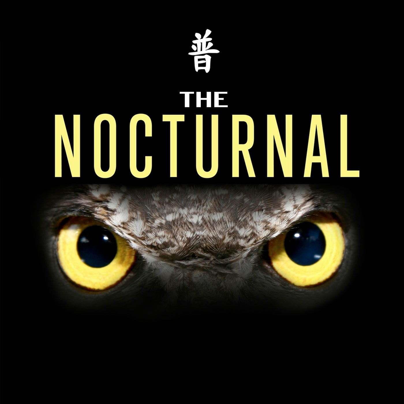 The Nocturnal